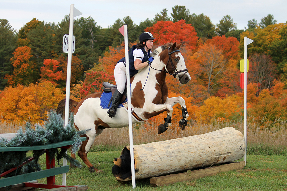 Cross Country Horse Riding near Me