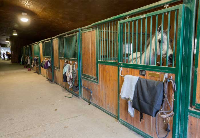 Indoor Boarding