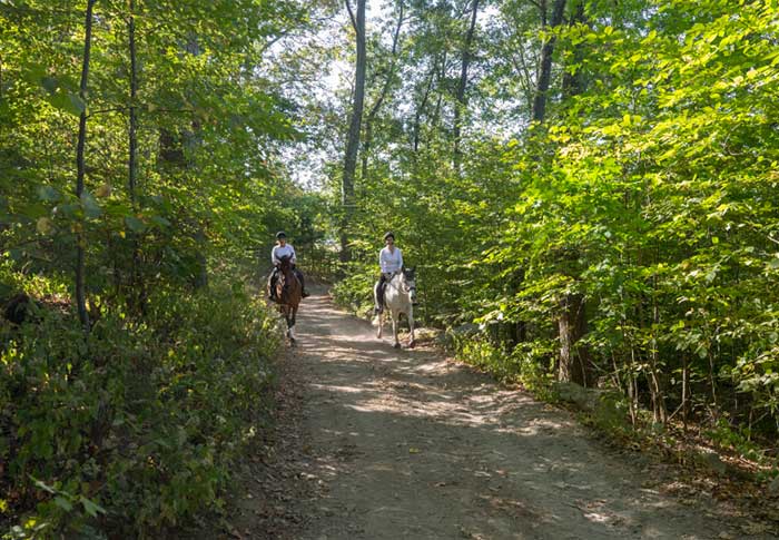 Miles of trail-riding