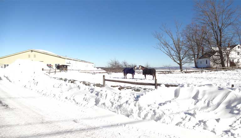 Winter Boarding