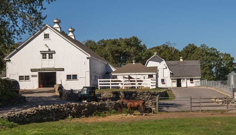 Three Barns