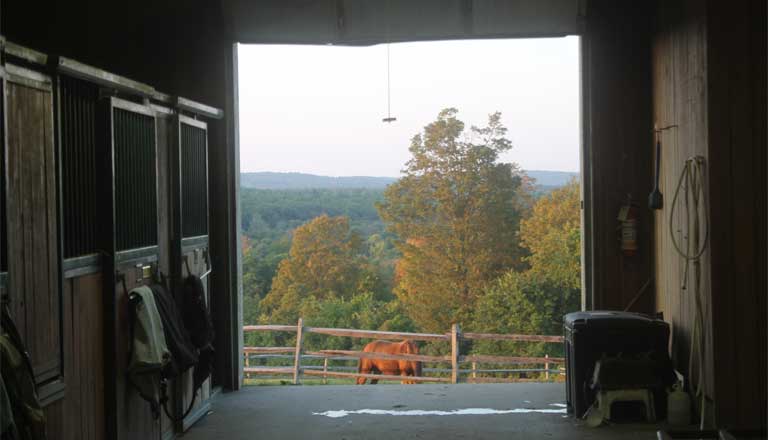 Three Barns