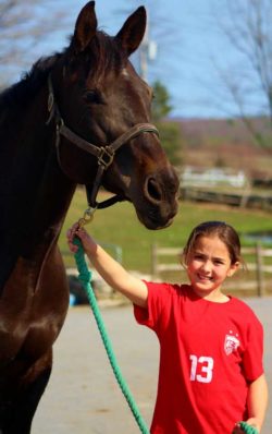 Summer Horseback Riding Camp, Orchard Hill Equestrian Center, Berlin, MA