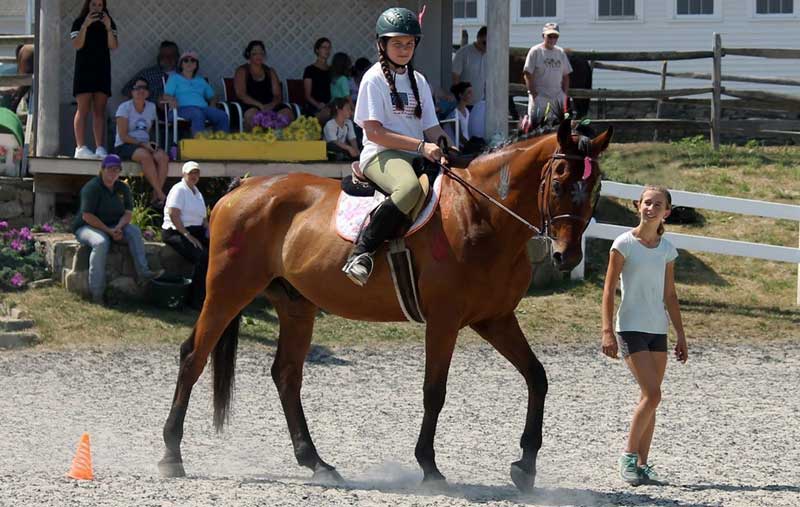 Horse Summer Camp at Orchard Hill