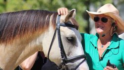 Lainey Johnson Dressage